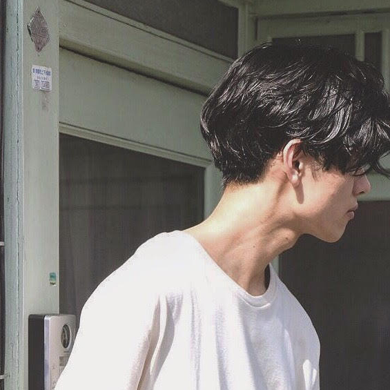 シシのヘアカットの写真