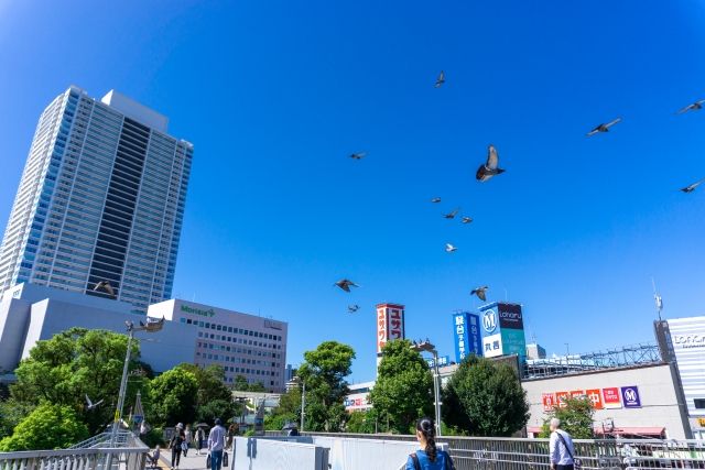 津田沼駅前の風景写真